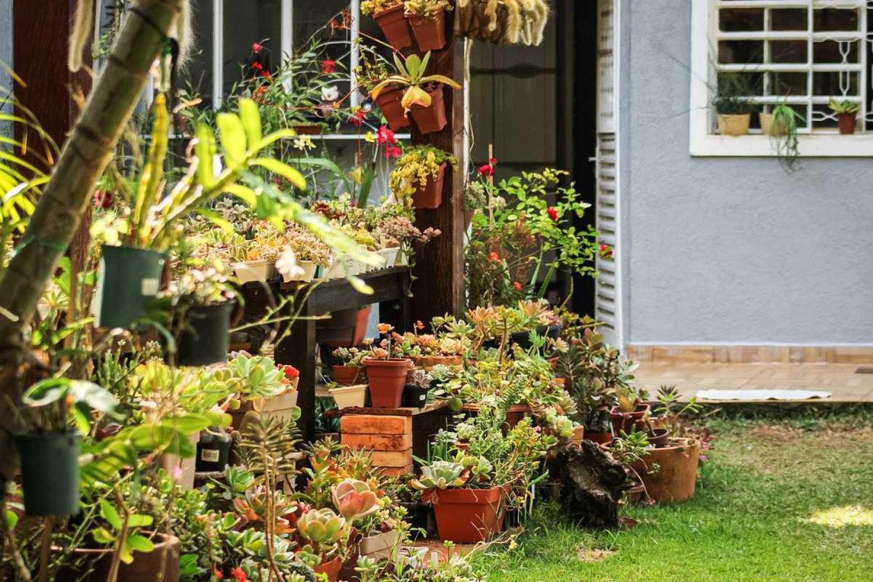 A conexão com a natureza ajuda a minimizar a ansiedade