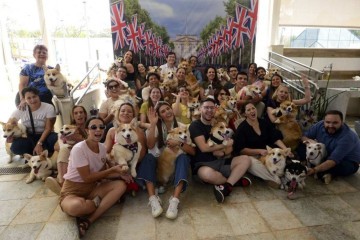 Mostrar a leveza que os corgis levavam ao dia a dia da rainha e seu amor por esses animais também foram propósitos do encontro -  (crédito: Fotos: Marcelo Ferreira/CB/D.A Press)