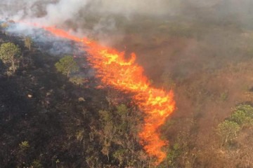 Somente em agosto, o Mato Grosso teve 1,6 milhão de hectares destruídos pelo fogo -  (crédito: Ciopaer-MT/ Divulgação)