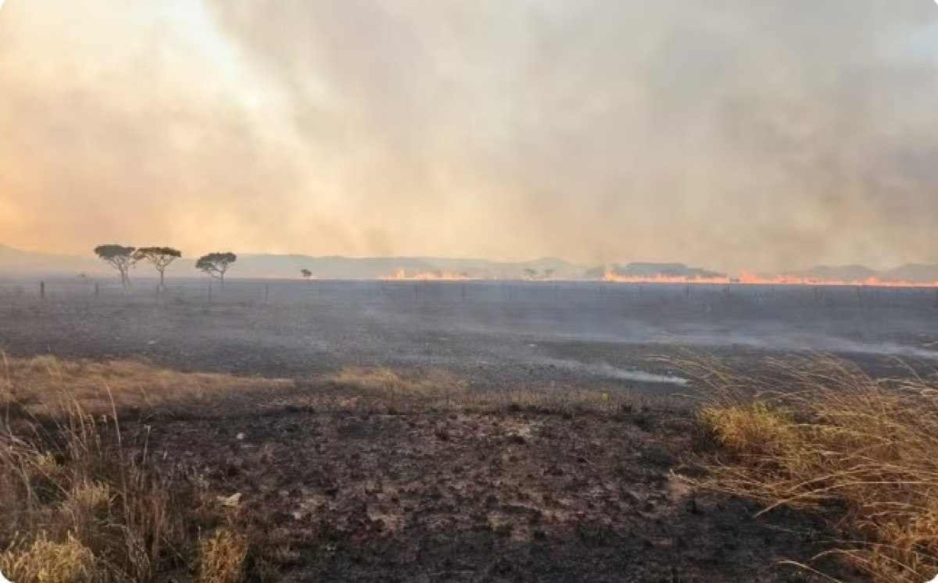 Incêndio na Chapada dos Veadeiros (GO) continua pelo quinto dia consecutivo