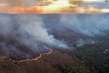 Incêndio na região da Chapada dos Veadeiros: o Centro-Oeste é a Região que apresentou o maior aumento percentual de focos de queimadas  -  (crédito: CBMGO/Divulgação)