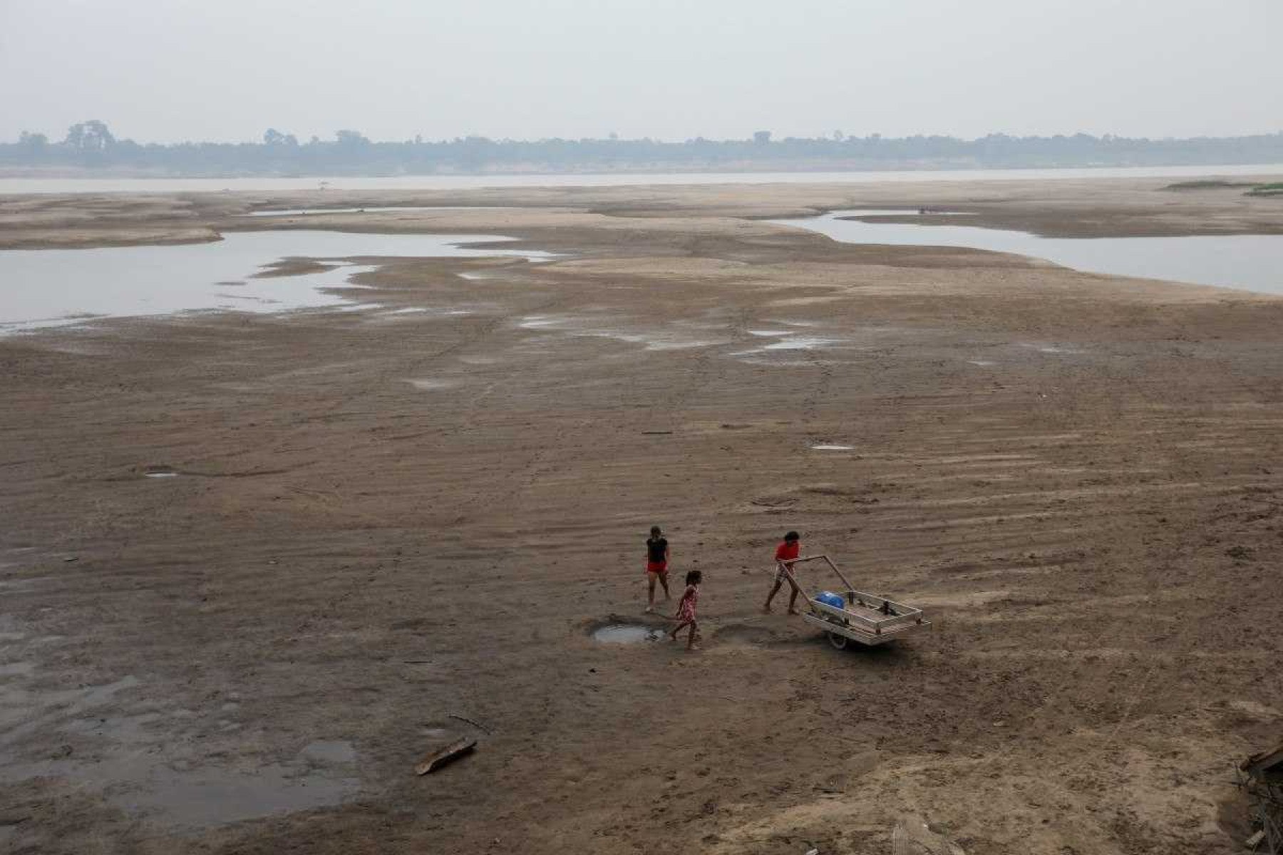 Seca ou estiagem? Saiba a diferença entre os dois fenômenos climáticos