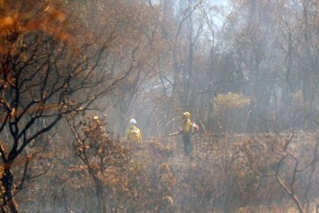 De janeiro a 10 de setembro, foram registradas 10,2 mil ocorrências de incêndios florestais -  (crédito:  Ed Alves/CB/DA.Press)