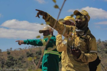 Focos de incêndio são combatidos no Parque Nacional da Chapada dos Veadeiros -  (crédito: Vitor Saraiva)