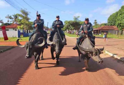 O município de Soure, considerado a capital do arquipélago do Marajó, tem um estilo diferente de patrulhamento. A corporação se utiliza do búfalo, que simboliza o local de maior rebanho do Brasil, que contribui para coibir a criminalidade e virou atração turística. -  (crédito: Divulgação/Ascom PM)