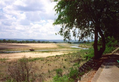 Uma reserva natural da África do Sul ganhou uma atração que chama atenção pela criatividade e pela capacidade de usar uma ideia inovadora para aproveitar algo supostamente perdido -  (crédito: Chris Eason  wikimedia commons)