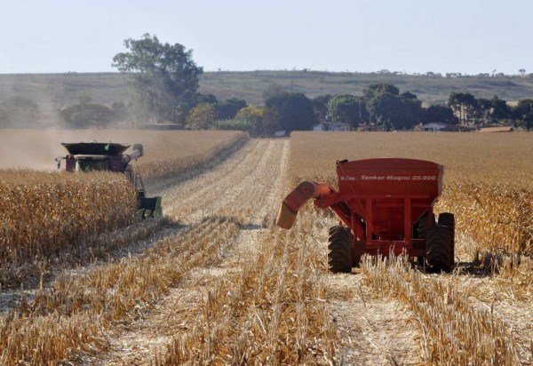 Minervino Júnior/CB