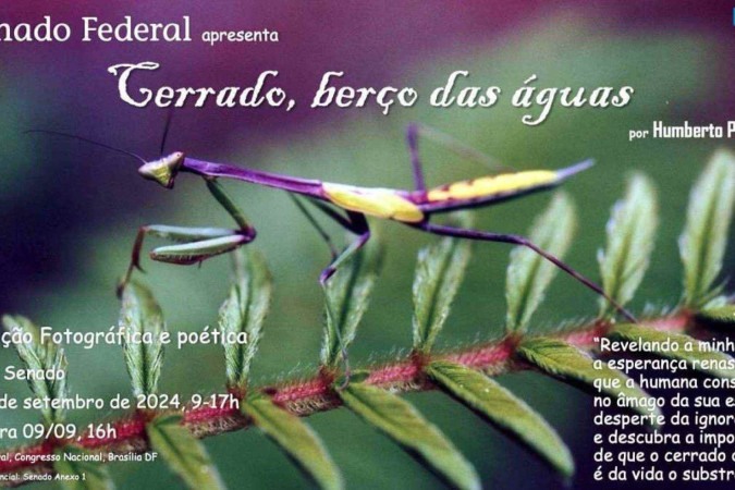 ‘Cerrado, berço das águas’