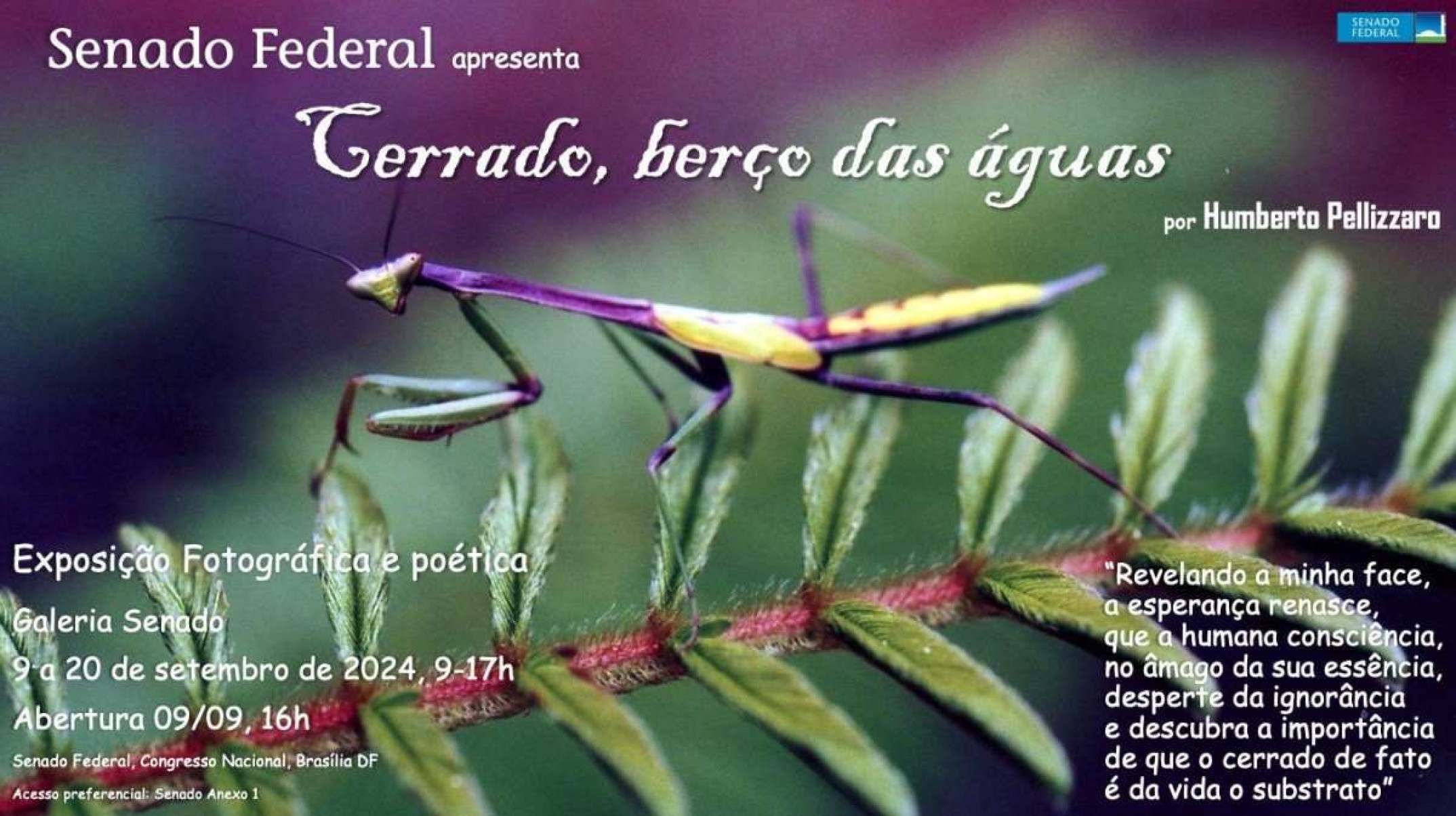 ‘Cerrado, berço das águas’