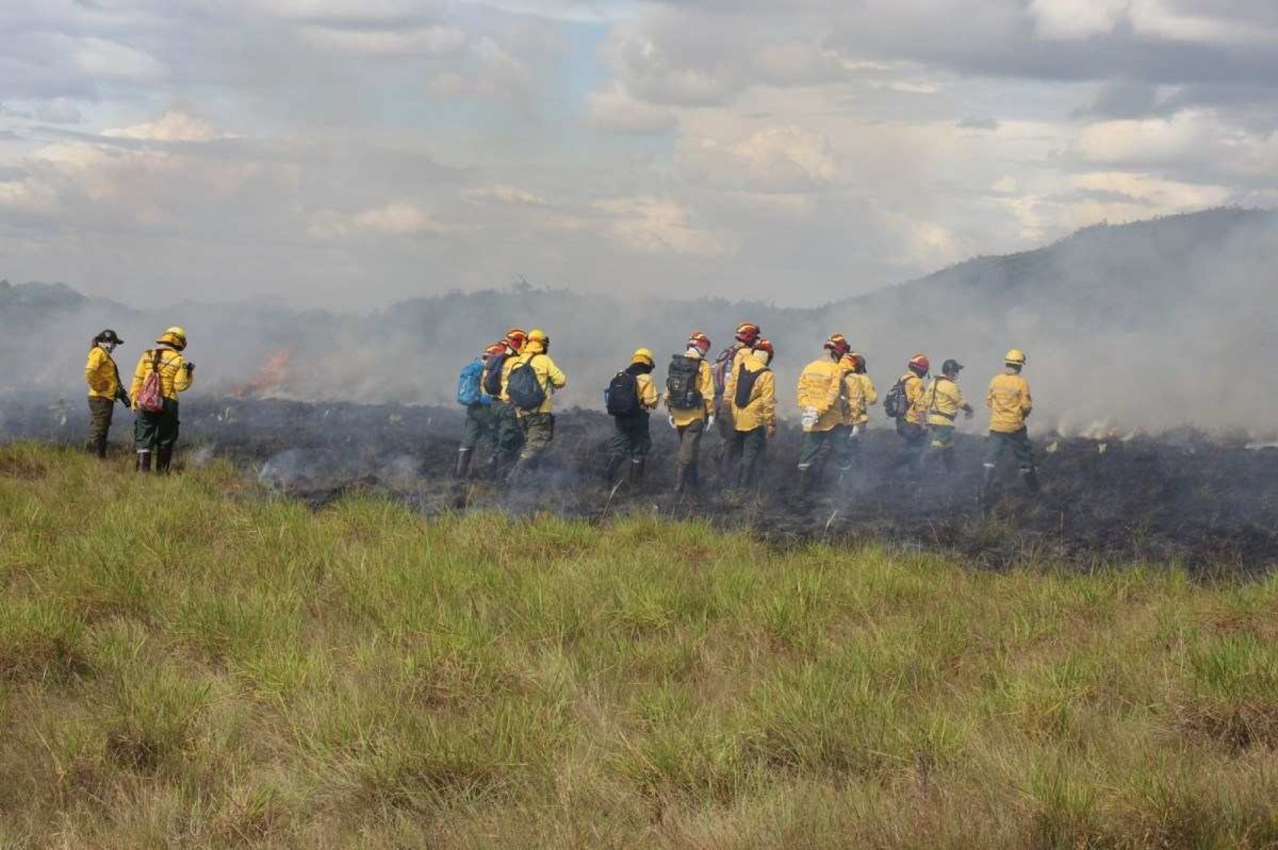 No Dia do Cerrado, governo lança Comitê Nacional do Manejo Integrado do Fogo