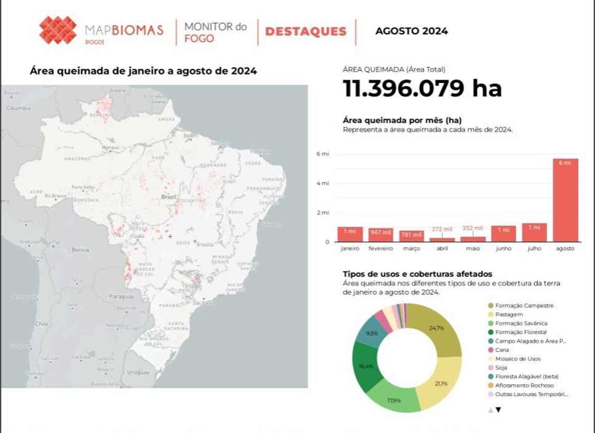 Dados sobre incêndios em agosto de 2024