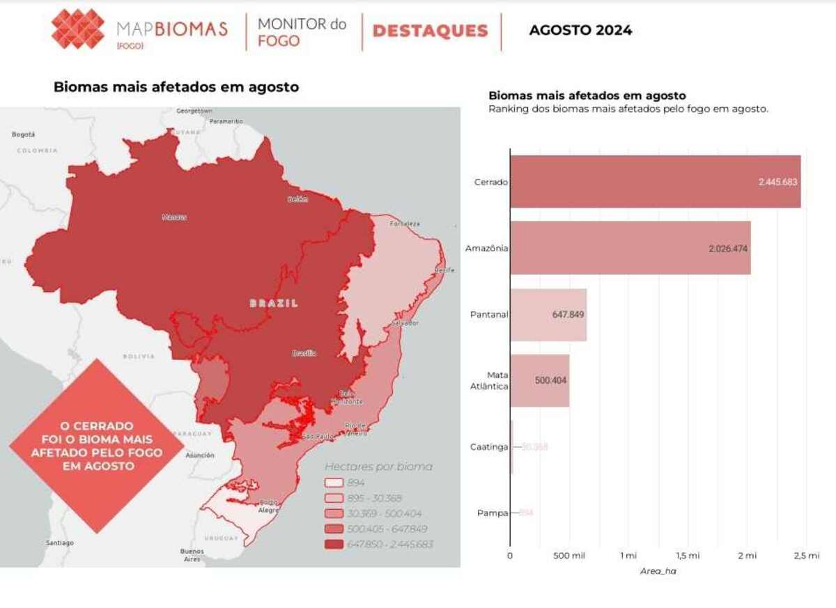 Dados sobre incêndios em agosto de 2024