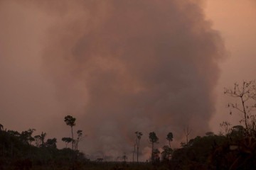 Queimadas ilegais na floresta amazônica às margens da rodovia BR-230 (Rodovia Transamazônica¬), próximo à cidade de Humaitá, estado do Amazonas, norte do Brasil, tirada em 4 de setembro de 2024       -  (crédito: MICHAEL DANTAS / AFP)