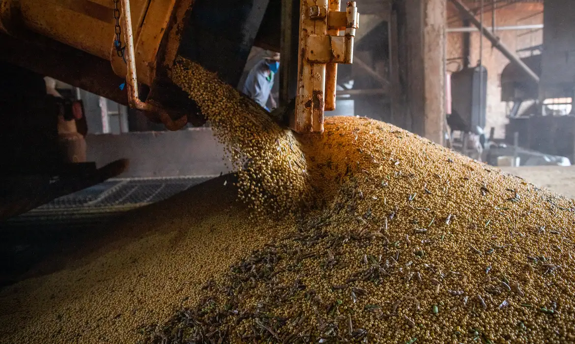 Após seis anos em alta, valor da produção agrícola cai 2,3% em 2023 -  (crédito: EBC)