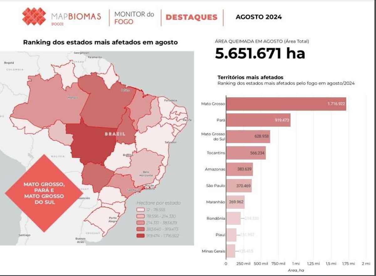 Dados sobre incêndios em agosto de 2024