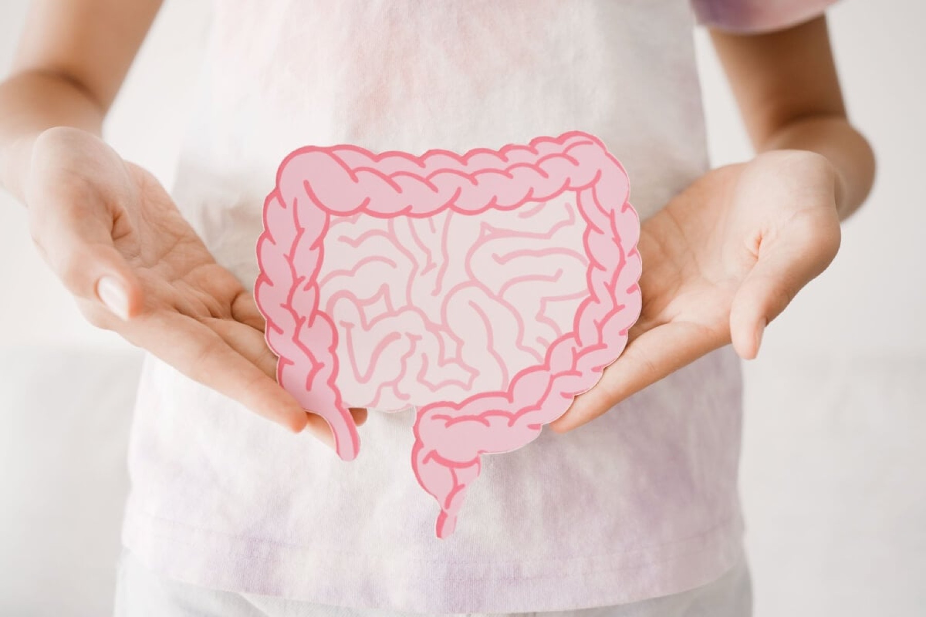 O intestino é fundamental para a digestão e absorção de nutrientes (Imagem: SewCreamStudio | Shutterstock) -  (crédito: EdiCase)