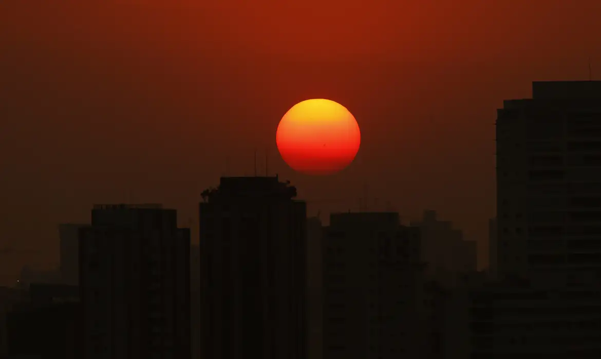 Mudanças climáticas agravam insegurança alimentar, diz pesquisadora -  (crédito: EBC)