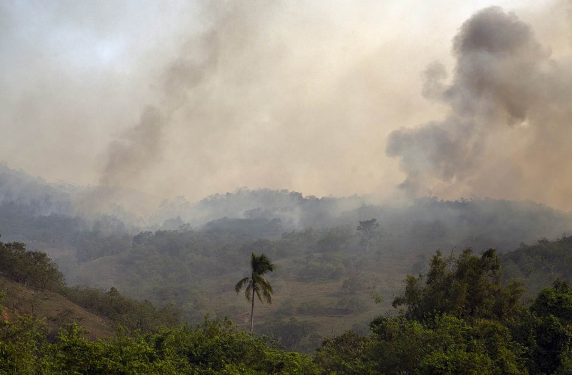 Mais de 20 pessoas são investigadas no Rio por incêndios florestais