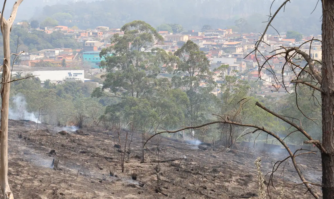 Estado de São Paulo amanhece com 11 focos de incêndio -  (crédito: EBC)