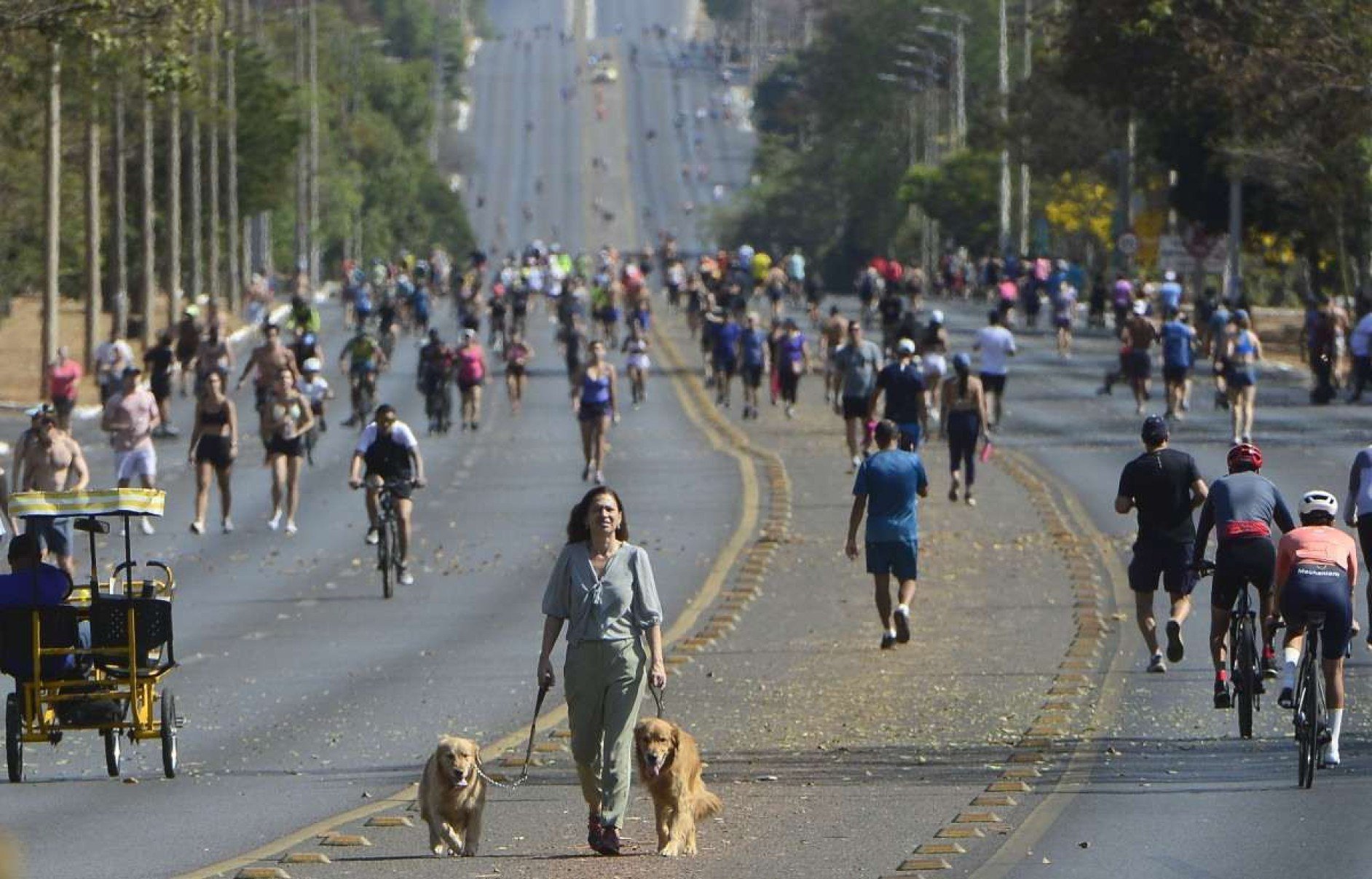 Conheça a origem dos 15 sobrenomes mais comuns no Brasil