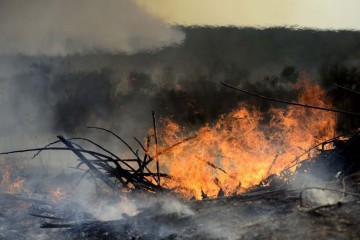 Cerca de 700 hectares do Parque foram tomados pelas chamas, iniciadas na Granja do Tort -  (crédito:  Marcelo Ferreira/CB/D.A Press)