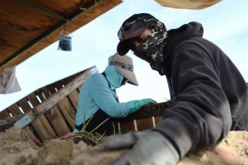 Setor agrícola tem maior índice de mortes no ambiente de trabalho dos EUA, seguido por transporte e construção civil -  (crédito: Universal Images Group via Getty Images)