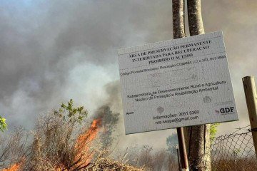 Incêndio de grandes proporções toma conta do Parque da Granja do Torto neste domingo (15/9)