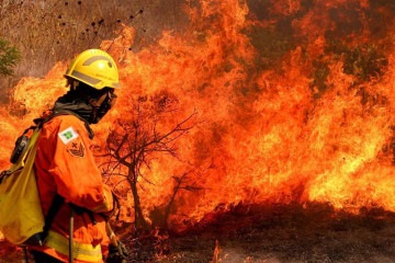 As operações de combate ao incêndio envolveram 20 brigadistas do ICMBio, 30 militares do Corpo de Bombeiros do Distrito Federal (CBMDF) e cinco brigadistas do Ibram.

 -  (crédito:  Fotográfo/Agência Brasil)