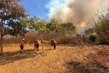 Bombeiros atuam no combate ao incêndio no Parque Nacional -  (crédito: Mila Ferreira)