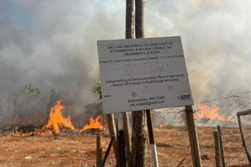 A fumaça do incêndio pode ser vista de diversos pontos da capital  -  (crédito: Mila Ferreira )