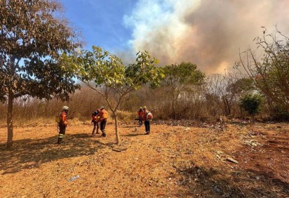 O fogo pode ser percebido de vários pontos de Brasília -  (crédito: Divulgação/ CBMDF)