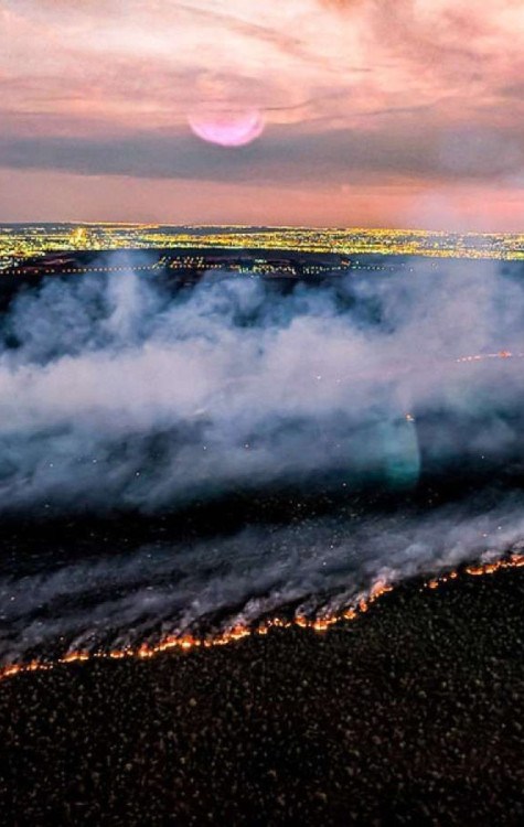 15.09.2024 - Sobrevoo no Parque Nacional de Brasília, atingido por incêndio neste domingo. Brasília - DF. -  (crédito: Ricardo Stuckert / PR)