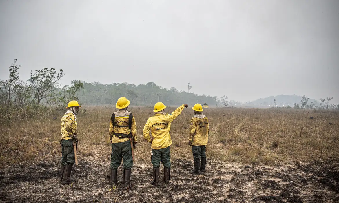 Dino estabelece orçamento de emergência para combate a incêndios -  (crédito: EBC)