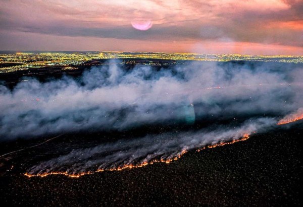 15.09.2024 - Sobrevoo no Parque Nacional de Brasília, atingido por incêndio neste domingo. Brasília - DF. -  (crédito: Ricardo Stuckert / PR)