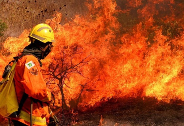 As operações de combate ao incêndio envolveram 20 brigadistas do ICMBio, 30 militares do Corpo de Bombeiros do Distrito Federal (CBMDF) e cinco brigadistas do Ibram.

 -  (crédito:  Fotográfo/Agência Brasil)