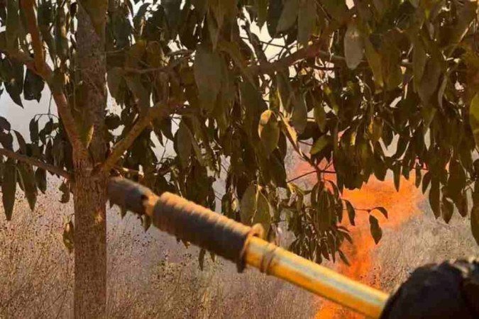 Bombeiros trabalham para controlar e debelar o fogo