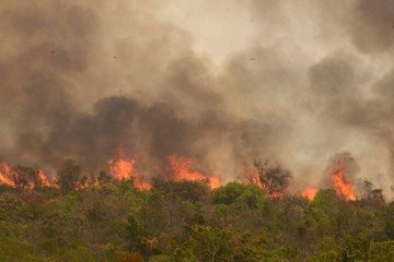 Incêndio no Parque Nacional levou cerca de cinco dias para ser combatido -  (crédito:  Ed Alves/CB/DA.Press)