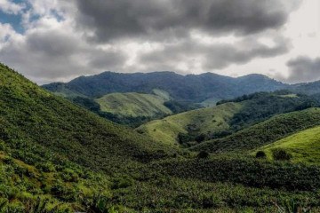 Edição anterior da operação identificou quase 18 mil hectares desflorestados
 -  (crédito: Rafa Neddermeyer/Agência Brasil)