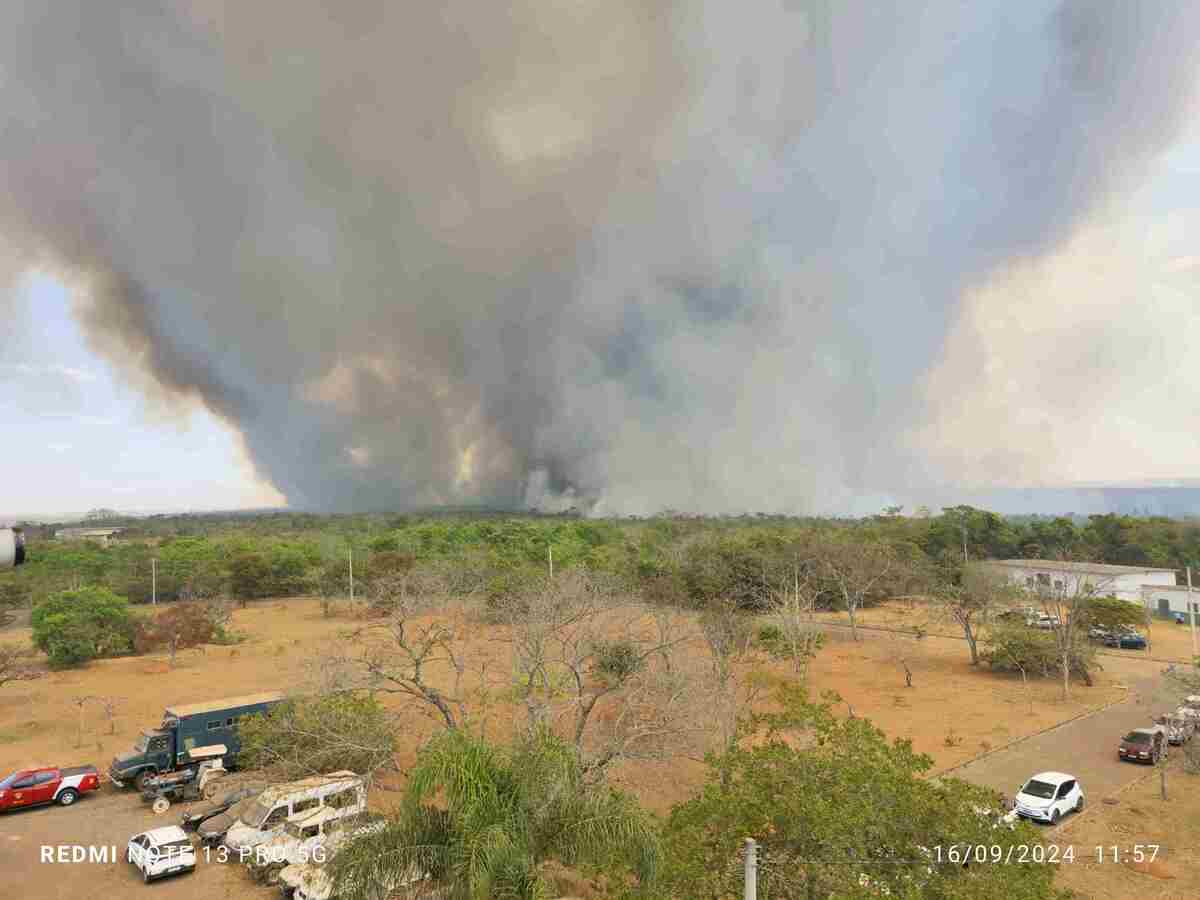 Parque Nacional de Brasília já perdeu com a queimada o equivalente a 700 campos de futebol -  (crédito: Ed Alves/CB/D.A Press)