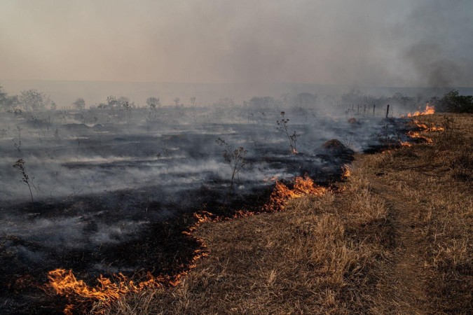 Bombeiro trabalha para apagar incêndio no Parque Burle Marx, em Brasília -  (crédito:  EPA-EFE/REX/Shutterstock)