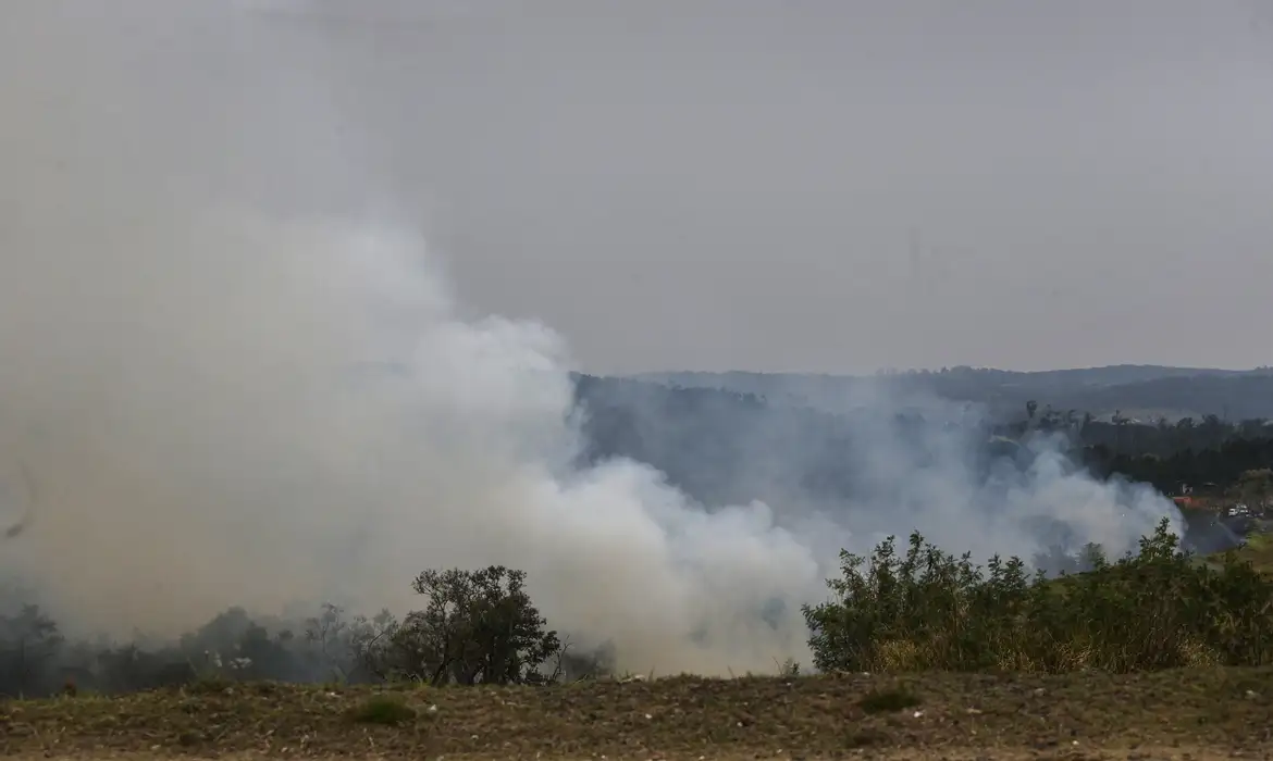 Cinco cidades do estado de São Paulo têm focos de incêndio ativos -  (crédito: EBC)