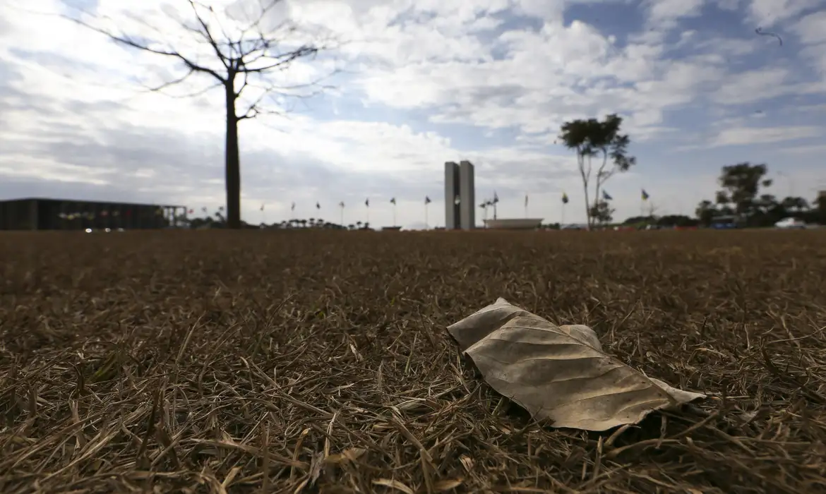 Inmet divulga alerta de baixa umidade em três estados do Centro-Oeste -  (crédito: EBC)