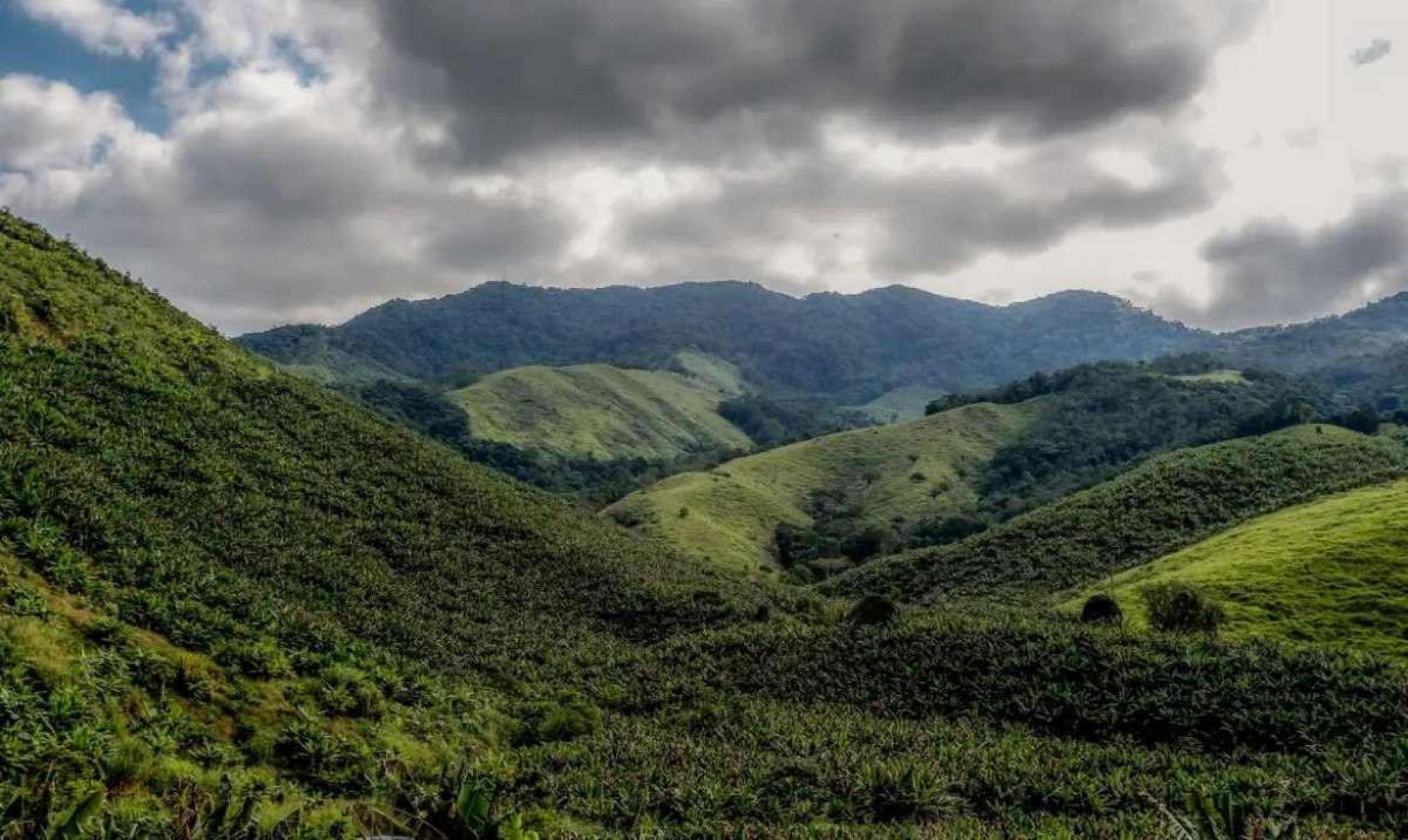 Começa hoje operação conjunta contra desmatamento da Mata Atlântica