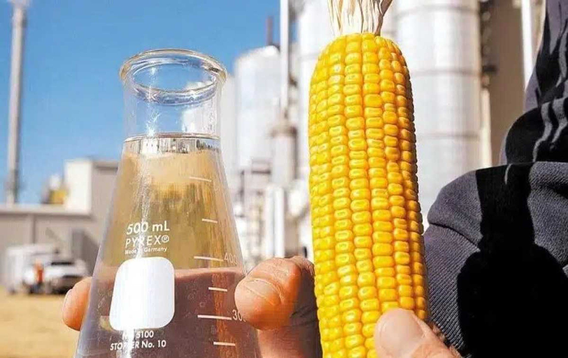 Biocombustíveis não encarecem os alimentos