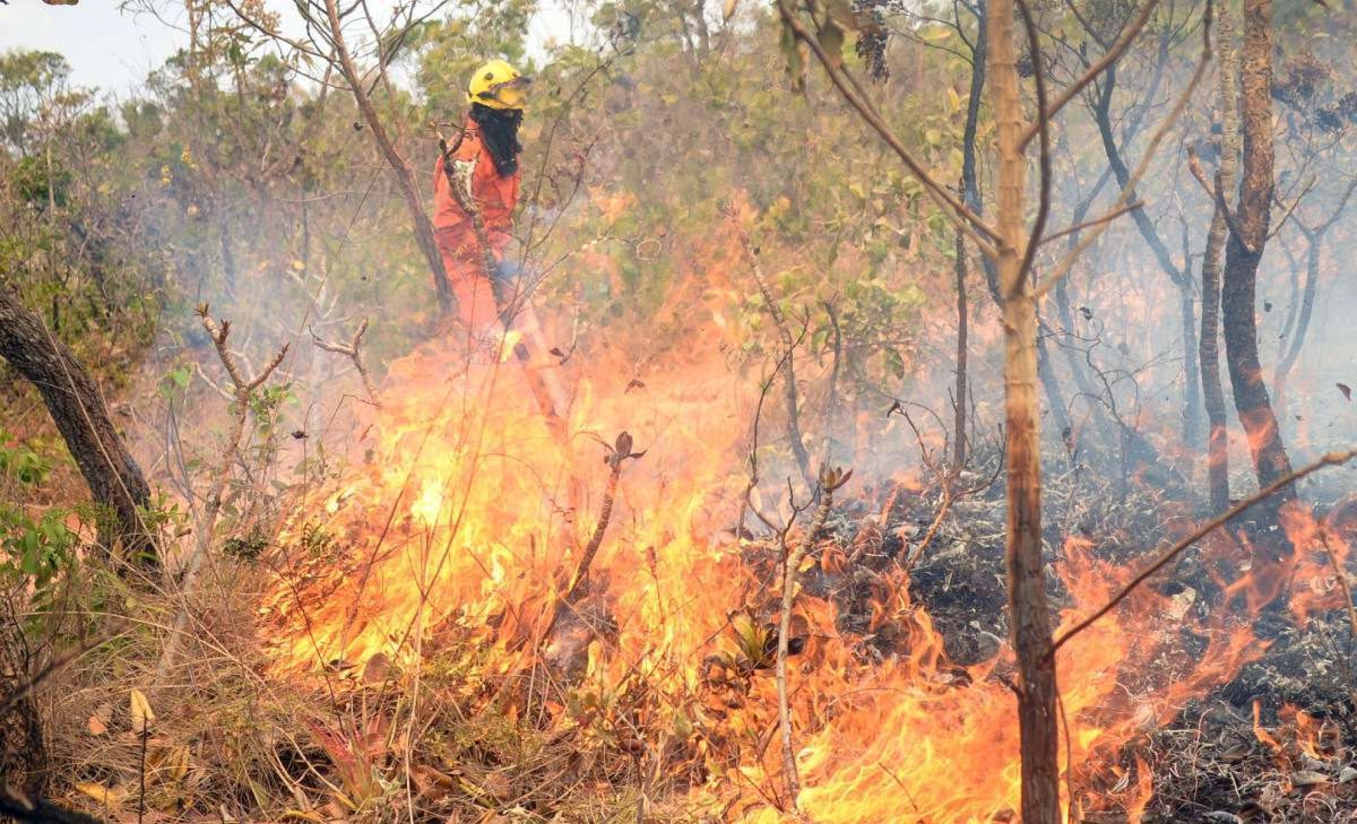 Incêndios destruíram mais de 1,4 mil hectares no Parque Nacional