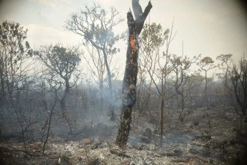  17/09/2024 Credito: Ed Alves/CB/DA.Press. Cidades. Brasilia. Combate a Incendio DF 001 - Pista que da acesso ao Lago Oeste - Vizinha do Parque Nacional.  -  (crédito:  Ed Alves/CB/DA.Press)