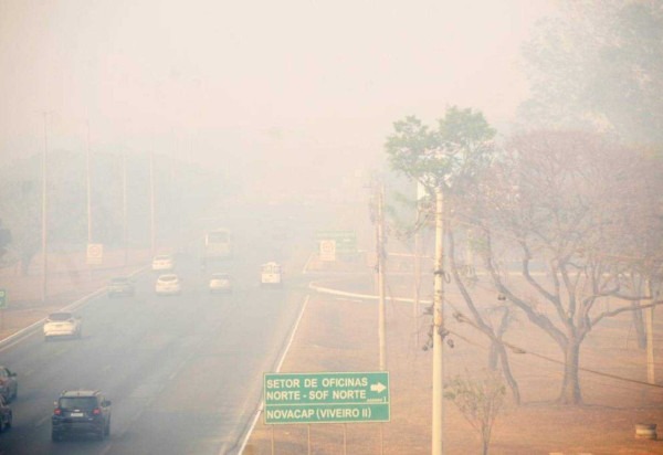 DF enfrenta a segunda pior estiagem da história. Meteorologistas não dão perspectiva para as chuvas -  (crédito: Ed Alves/CB/D.A Press)