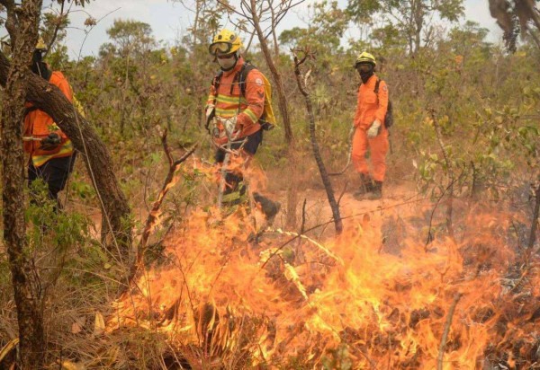  17/09/2024 Credito: Ed Alves/CB/DA.Press. Cidades. Brasilia. Combate a Incendio DF 001 - Pista que da acesso ao Lago Oeste - Vizinha do Parque Nacional.  -  (crédito:  Ed Alves/CB/DA.Press)