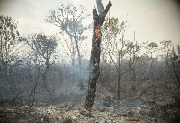  17/09/2024 Credito: Ed Alves/CB/DA.Press. Cidades. Brasilia. Combate a Incendio DF 001 - Pista que da acesso ao Lago Oeste - Vizinha do Parque Nacional.  -  (crédito:  Ed Alves/CB/DA.Press)