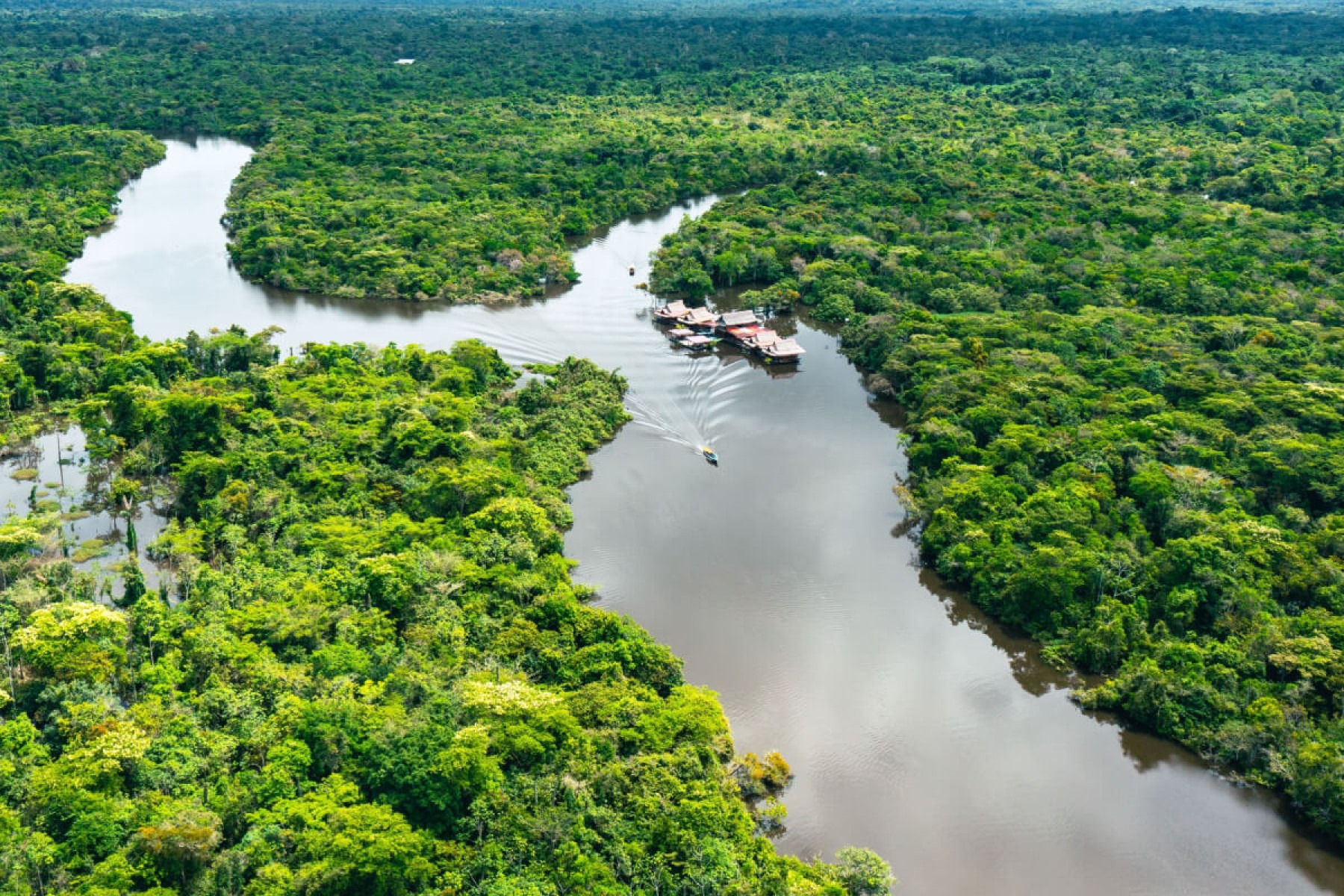 O dia da Amazônia chama a atenção para o cuidado com o meio ambiente (Imagem: Curioso.Photography | Shutterstock) -  (crédito: Edicase)